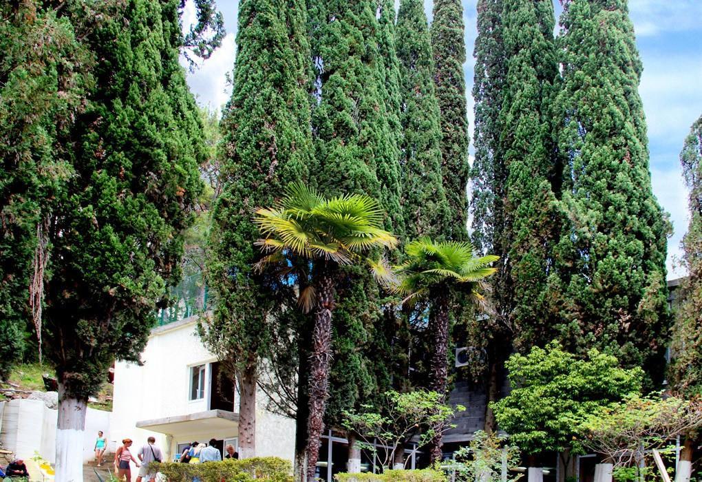 Pansionat Solnechniy Gagry Exterior photo